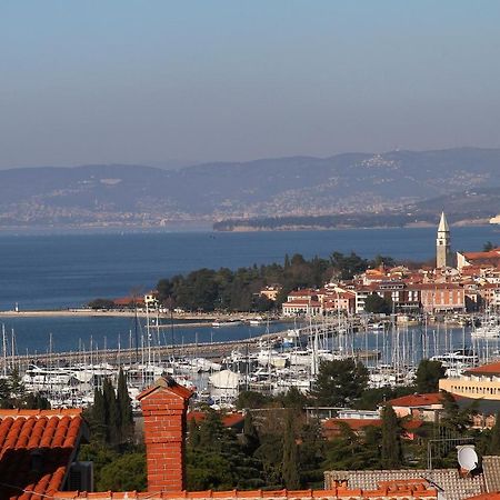 Apartma Mimoza Διαμέρισμα Jagodje Εξωτερικό φωτογραφία