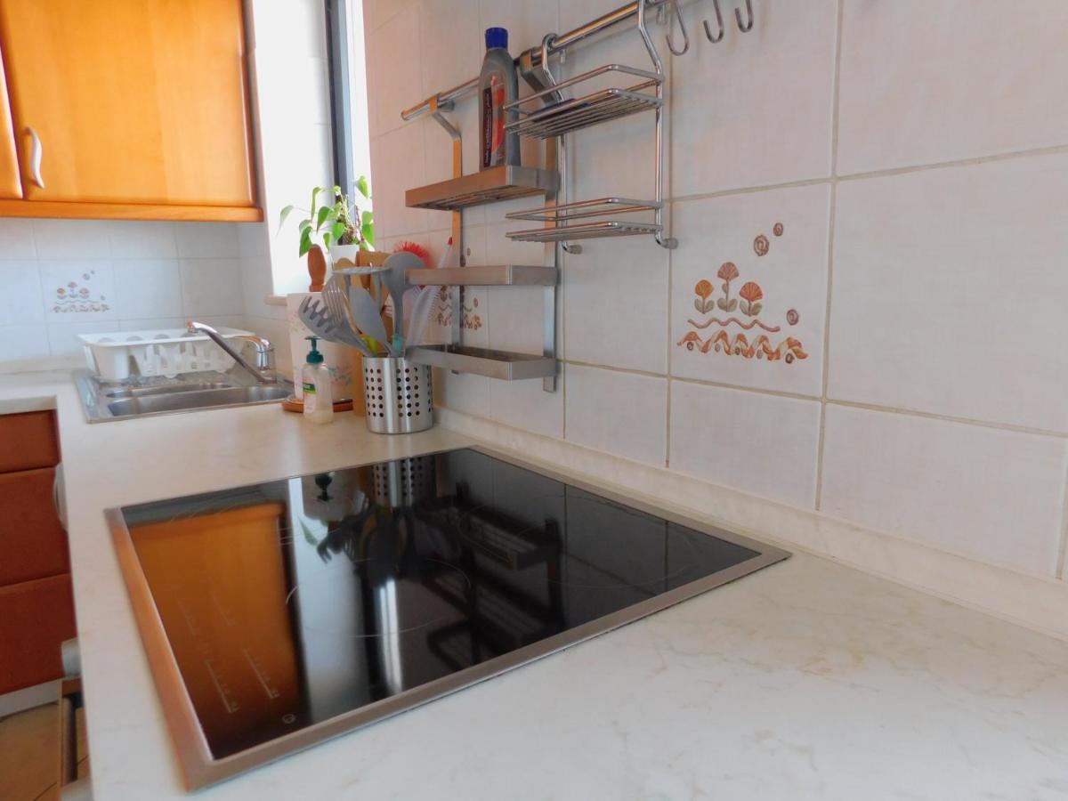 Apartma Mimoza Διαμέρισμα Jagodje Εξωτερικό φωτογραφία