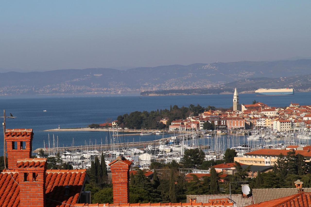 Apartma Mimoza Διαμέρισμα Jagodje Εξωτερικό φωτογραφία